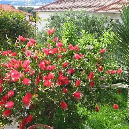 Trogir 8683b オクルグ・ゴルニ